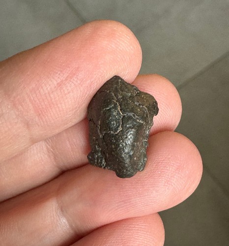Meteorite chondrite ung - meteorite,