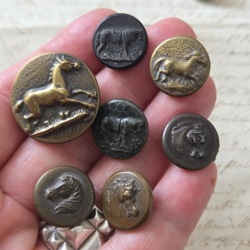 Boutons vénerie anciens - vénerie,