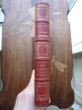 9252 Verne Face au Drapeau Clovis Dardentor Hetzel Gravures en couleurs