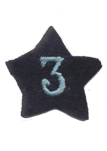 Insigne calot 3eme regt - ,