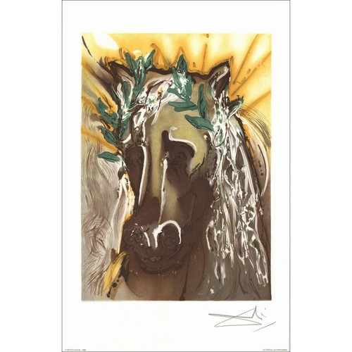 Dali salvador lithographie - salvador,