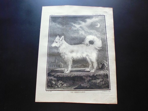 Gravure sur velin - gravure,