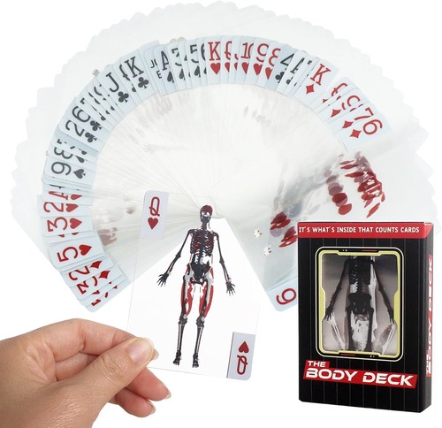 The body deck squelette - the,