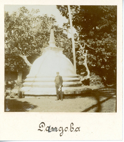 Ceylan sri lanka - sri, colombo