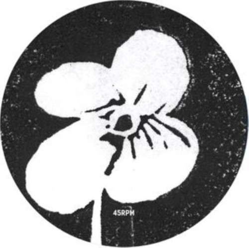 Shindo yotogi vinyl - -,