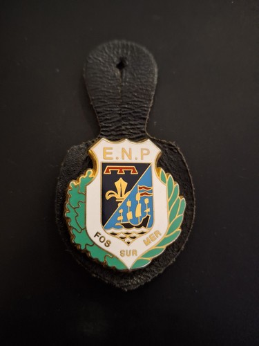 Insigne pucelle n p - pucelle, e.n.p