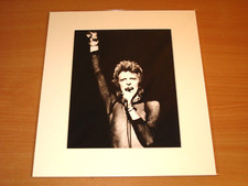 Lumas Photo Image - David