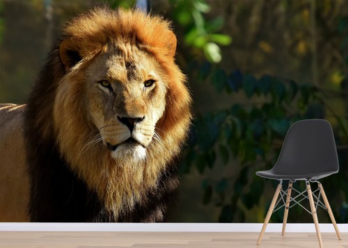 Tête lion a069 papier - lion, 3d