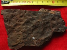 plaque avec empreintes de