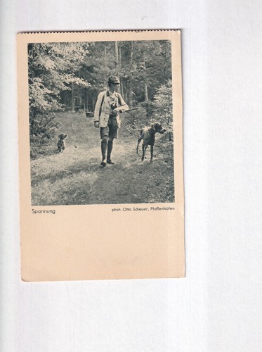 G4974 carte postale chasseur