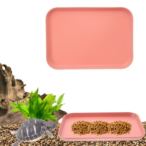 Terrarium alimentant les - terrarium,
