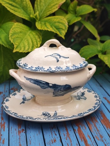 Moutardier favori bleu - bleu, de