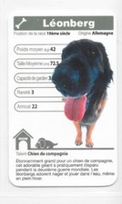 Carte Top Trumps - Chiens - Léonberg