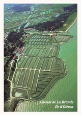 17 ILE D OLERON CHENAL DE LA
