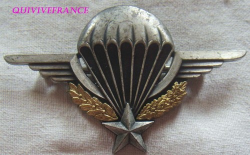 In23697 insigne brevet de - -,