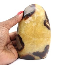 ▶️ Septaria de décoration