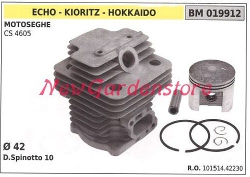 Cylindre piston segments echo - segments,