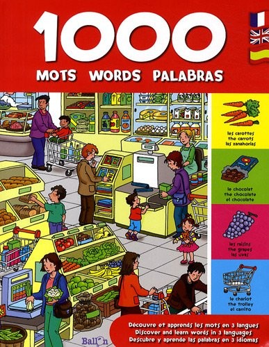 Dictionnaire trilingue - dictionnaire,