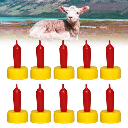 Pièces agneau boisson - agneau,