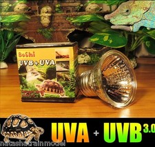 Ampoule Lampe Luminaire Spot