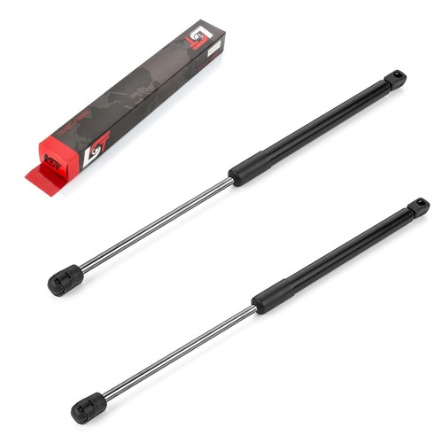 Gas pressure spring - 2x,