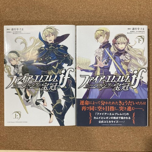 Fire emblem fates the - fire,