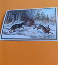 CHROMO ANCIENNE CHASSE  RENARD ET CANARD