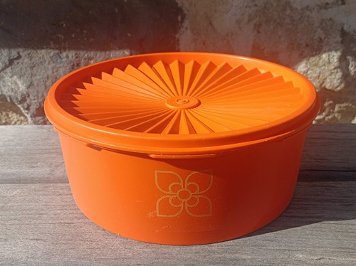 Accessoire servalier orange - accessoire, +