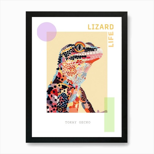 Coral tokay gecko abstract - gecko,