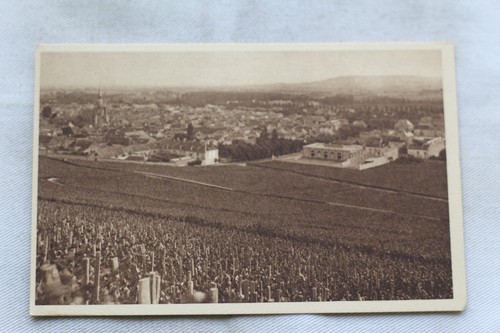 Vignoble premier cru de - d'ay,,