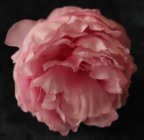 Fleur tissu pivoine rose - fleur, en