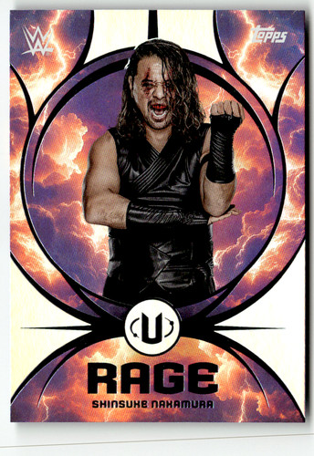 Topps universe wwe - topps, 2025