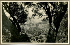 Maroc, Paysage marocain
