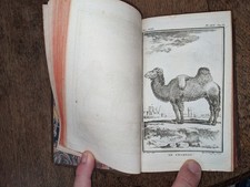 livre ancien-Buffon-Histoire
