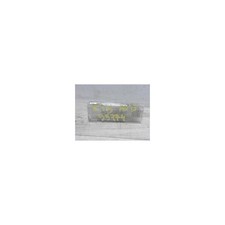 VERLICHTING PORTIER rechts voor BMW 5 serie (E39) Sedan 530i 24V (M54-B30) 2002