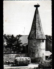 RIBEAUVILLE (68) ATTELAGE