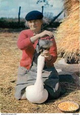 32 - Gers - Gaveuse d'oie - CPM - Voir Scans Recto-Verso