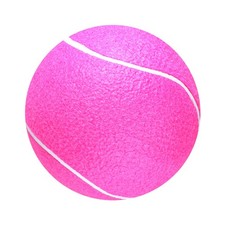  8 -inch Ballon De Jeu