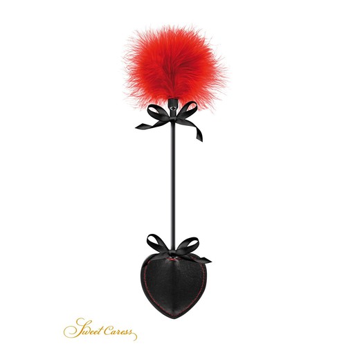 Cravache bdsm forme de - cravache,