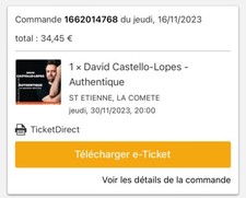 place spectacle David Castello-Lopes Saint Etienne