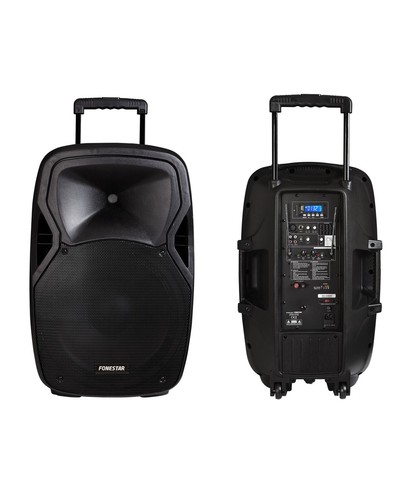 Enceinte sono portable pro - portable, 15"