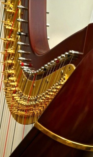 Harpe schola camac - harpe,