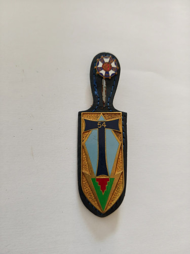 Ancien insigne militaire - 54, t