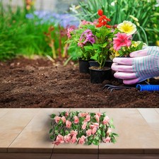 Élargissement Treillage