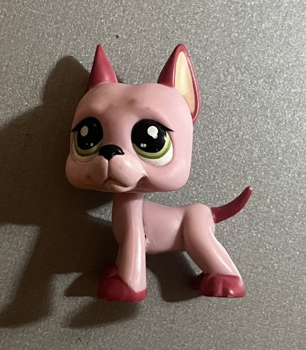 Petshop officiel chien - petshop,