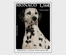 monaco 2022 dog DALMATIAN dalmatien chien hunde canis perros hond cane 狗 犬 1v 
