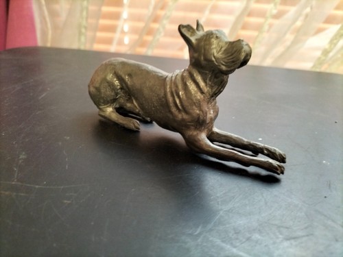 Ancien magnifique chien - magnifique,