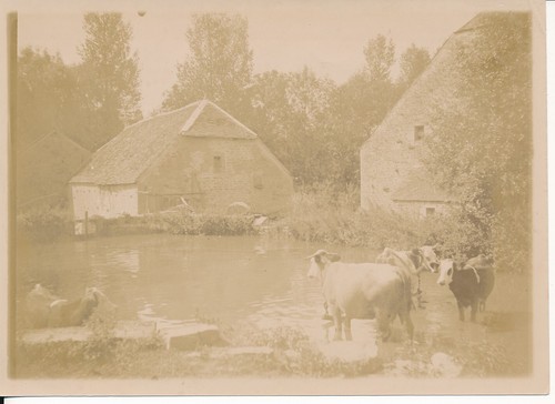 Cohon 1896 moulin - 1896, le