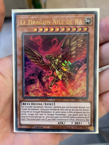 Carte le dragon aile - yu,