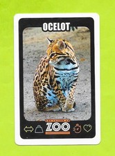 Carte Une saison au zoo - Ocelot